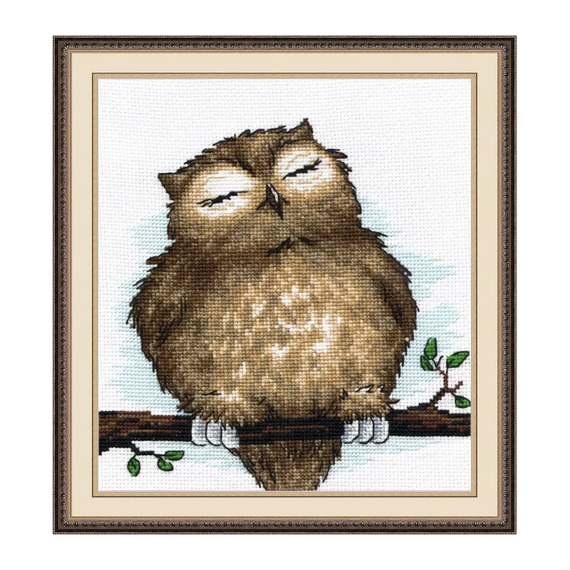 (Eingestellt) Owl Dream S729