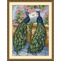 SALE Secret Message S640 (D)