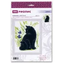 Schwarze Katze SR2001