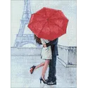 (D) Liebe in Paris 30x40 WD3015