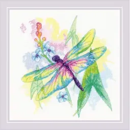 Rainbow Beauty SR1998