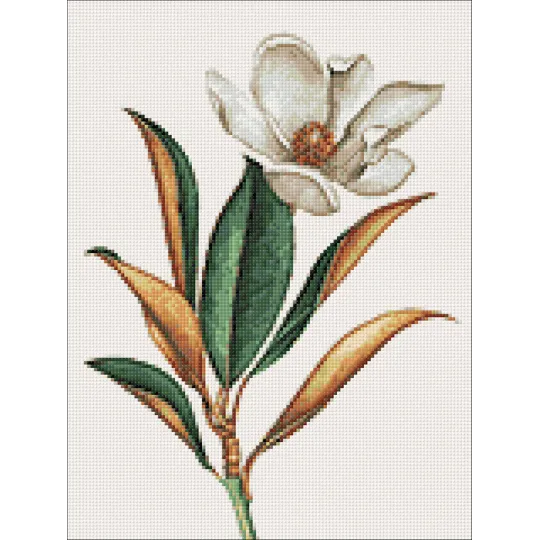 Magnolia 30*40 WD3017