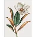 Magnolia 30*40 WD3017