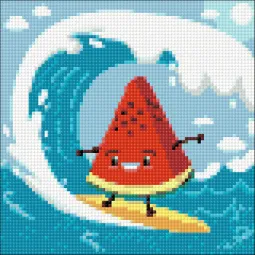 (D) Surf 20*20 WD3018