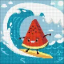(D) Surf 20*20 WD3018