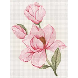 (D) Magnolijos žiedas 30*40 WD3021