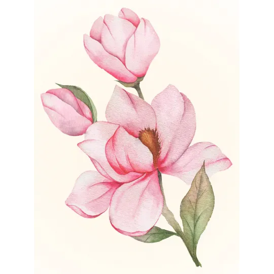 (D) Magnolienblüte 30*40 WD3021