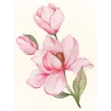 Magnolia blossom 30*40 WD3021