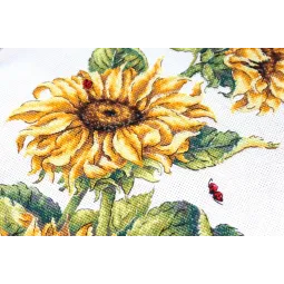 Tournesols SNV-777