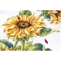 Sunflowers SNV-777