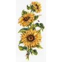 Sunflowers SNV-777