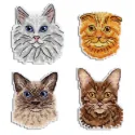 Cats. Magnets SR-824