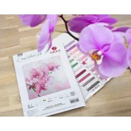 Грациозные орхидеи SB7009