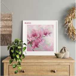 Grakščiosios orchidėjos SB7009