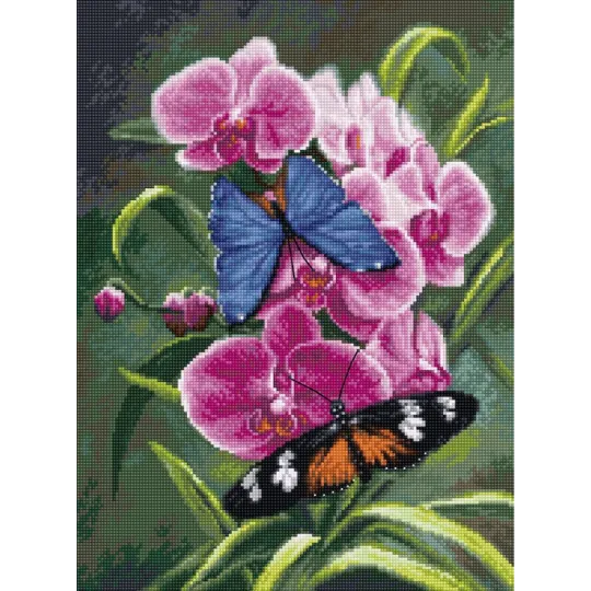 (Nutrauktas) Nature’s Poetry SB7010