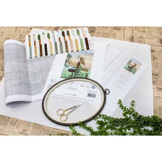 (D) Barn Owl SLETIL8031