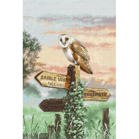 (D) Barn Owl SLETIL8031