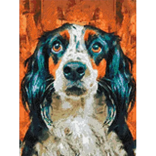 (D) Ami loyal 30*40 WD3027