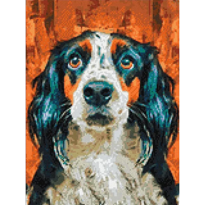 (D) Ami loyal 30*40 WD3027