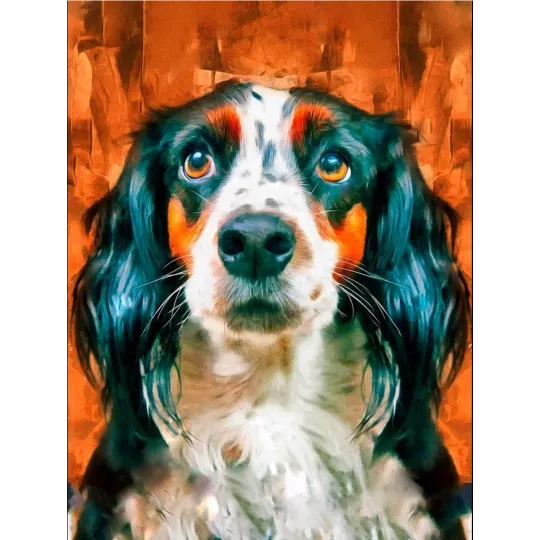 (D) Верный друг 30*40 WD3027