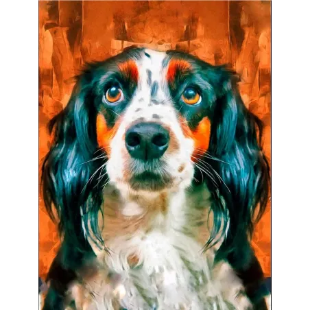 (D) Ami loyal 30*40 WD3027