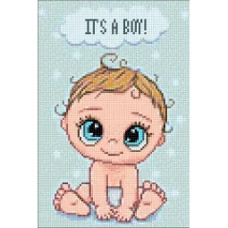 (D) It's a boy 20*30 WD3028