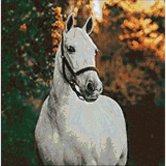 (D) Cheval blanc 40*40 WD3030