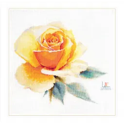 Roses à l'aquarelle. Jaune élégant S2-52