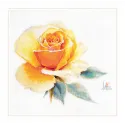 Akvarelinės rožės. Geltona elegantiška S2-52