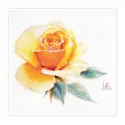 Watercolor roses. Yellow elegant S2-52