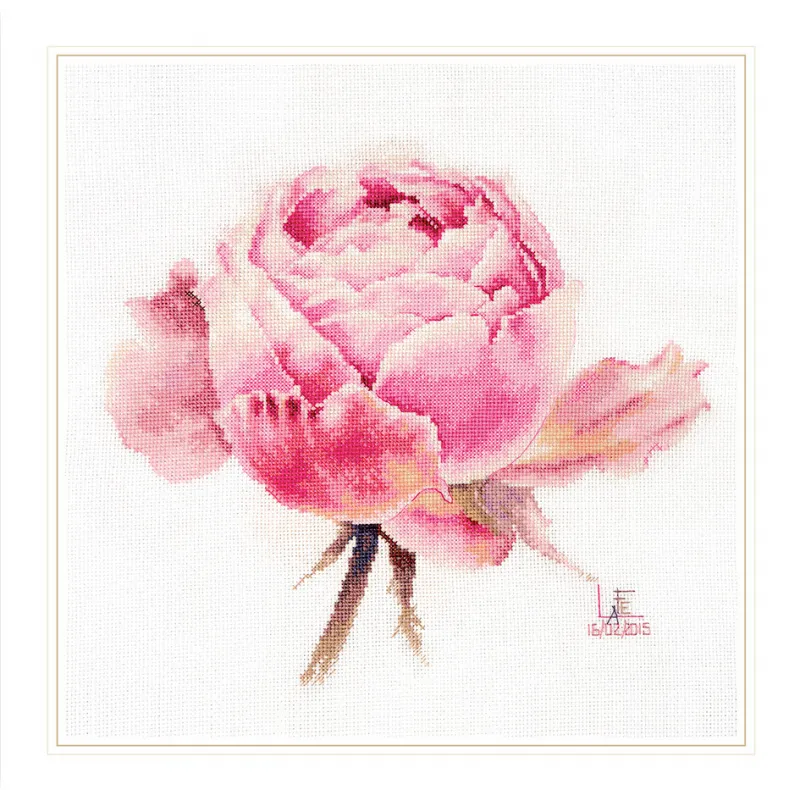 Watercolor roses. Pink exquisite S2-53