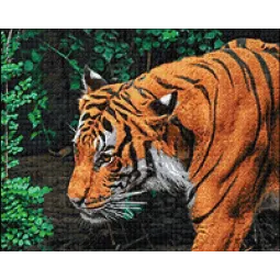 (D) Король джунглей 50*40 WD3035