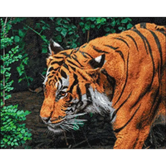 (D) Король джунглей 50*40 WD3035