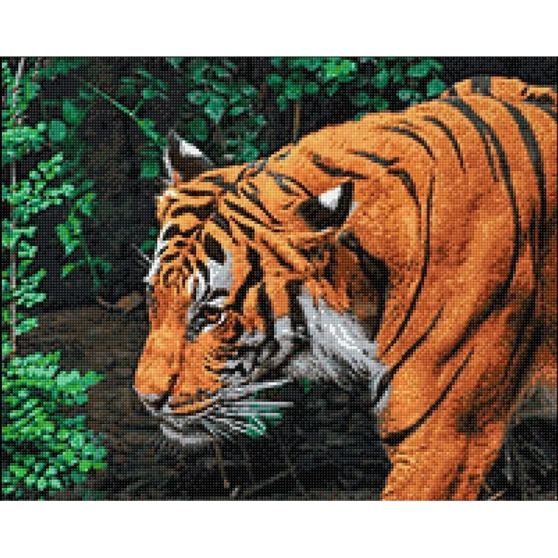 Roi de la jungle 50*40 WD3035