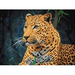 Leopard 40*30 WD3036 (D)