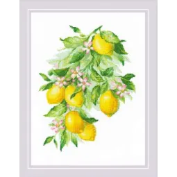 Лимоны 30x40 SR2054