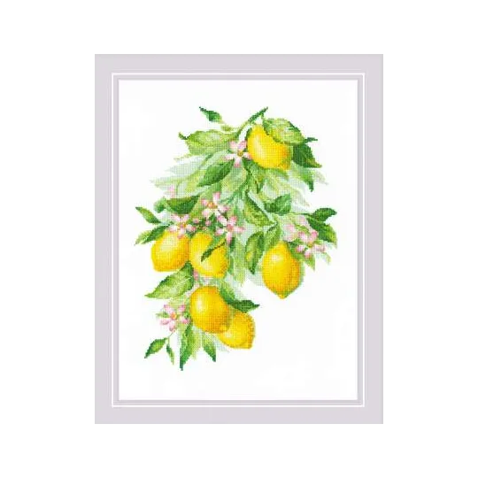 Citrons 30x40 SR2054