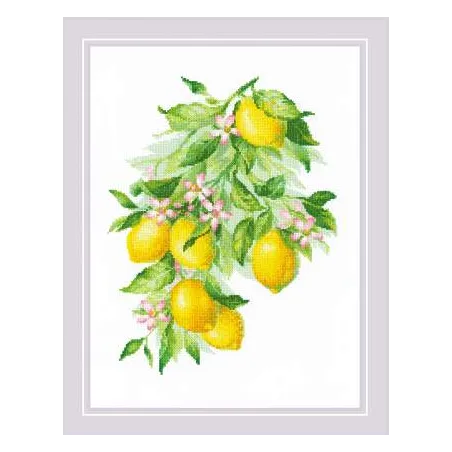 Citrons 30x40 SR2054