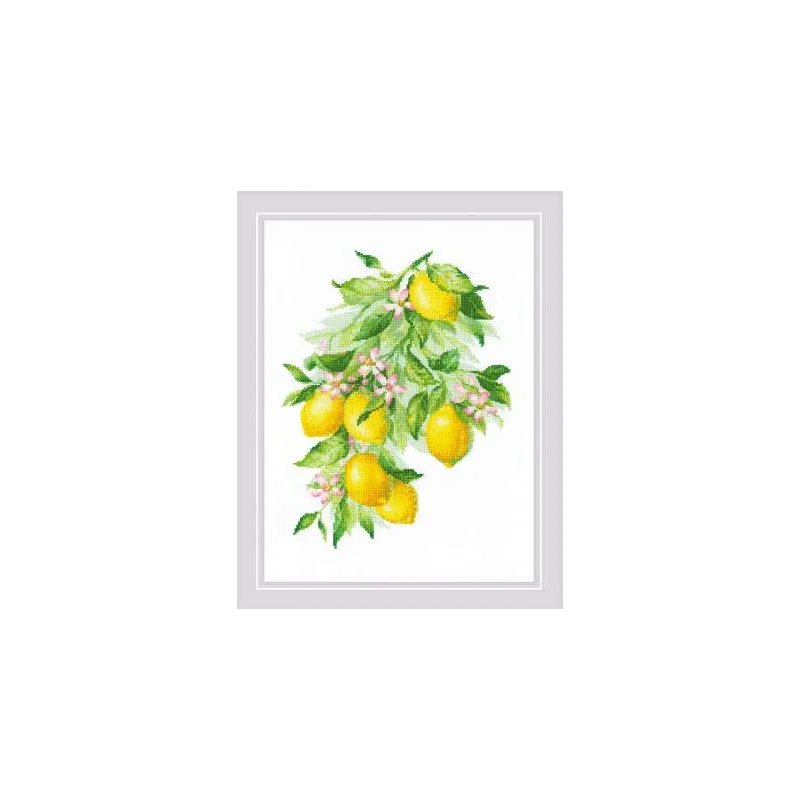 Citrons 30x40 SR2054