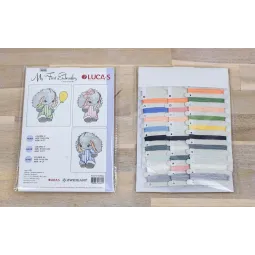 Mon Premier Kit de Broderie SM04