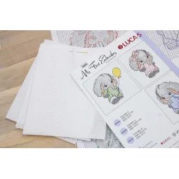 Mon Premier Kit de Broderie SM04