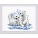 Oursons sur glace 40x30 SR2043