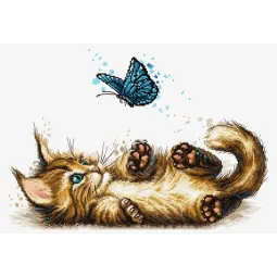 Spielerisches Kätzchen SB7013