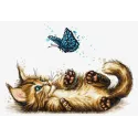 Chat Joueur SB7013