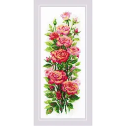 July roses 20x50 SR2057