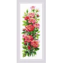 Roses de juillet 20x50 SR2057