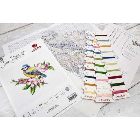 Синица-лазоревка SB1195