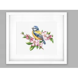 Mėlynoji zylė SB1195