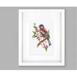 Pinson des arbres SB1196