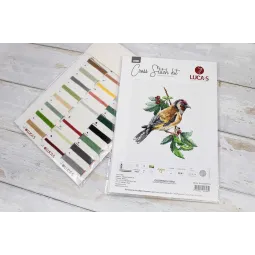 Chardonneret élégant oiseau SB1197